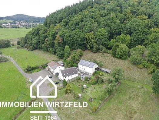 Bauernhaus zum Kauf 750.000 € 1 Zimmer 650 m² 30.414 m² Grundstück Daun Daun 54550