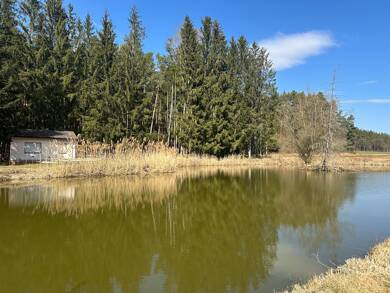Land-/Forstwirtschaft zum Kauf 289.000 € 19.520 m² Grundstück Allersberg Allersberg 90584
