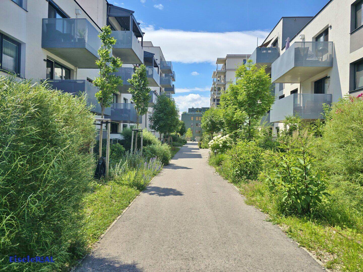 Wohnung zum Kauf - Więcej