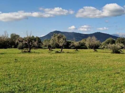 Acker-/Waldstück zum Kauf 299.000 € Llubí 07430