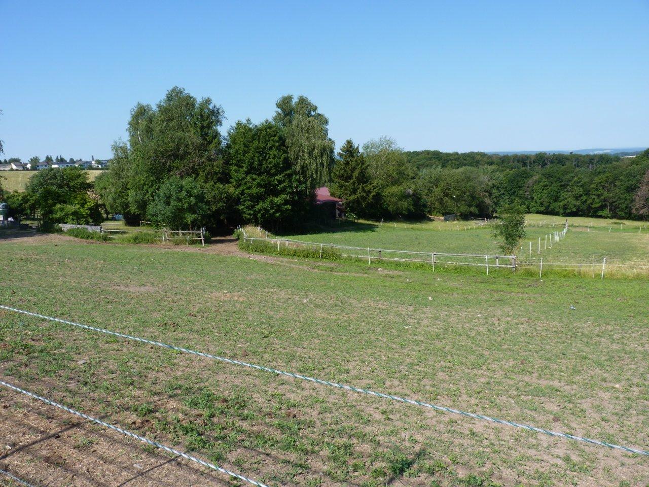 Landwirtschaftliche Fläche zum Kauf provisionsfrei 12.000 € 1.022 m²<br/>Fläche 1.022 m²<br/>Grundstück Am Brünnchen Glashütten Glashütten 61479