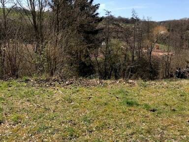 Grundstück zum Kauf 80.000 € 1.220 m² Grundstück frei ab sofort Ockfen 54441