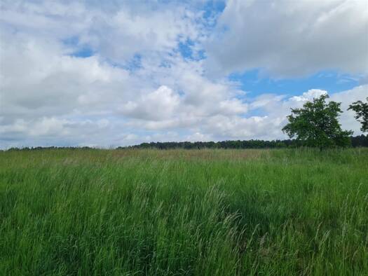 Grundstück zum Kauf provisionsfrei 693 m² Grundstück Linden Gerhardshofen 91466