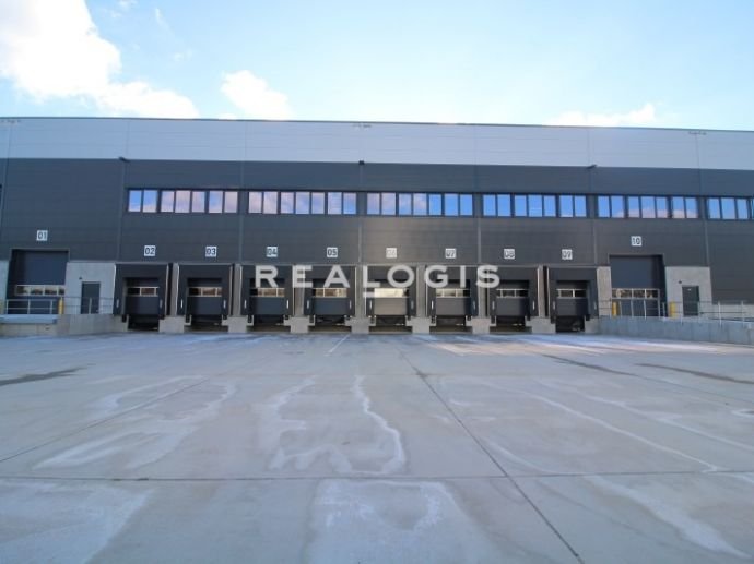 Halle/Industriefläche zur Miete provisionsfrei 6,25 € 20.000 m²<br/>Lagerfläche ab 10.000 m²<br/>Teilbarkeit Ginsheim-Gustavsburg 65462