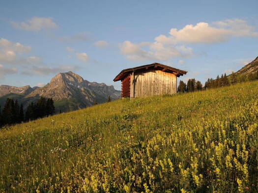 Grundstück zum Kauf 780 m² Grundstück Lech 6764