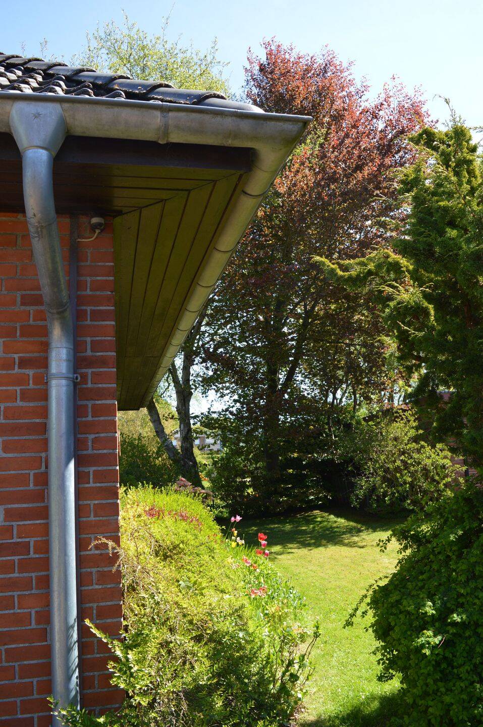 Einfamilienhaus zum Kauf - Ansicht 4