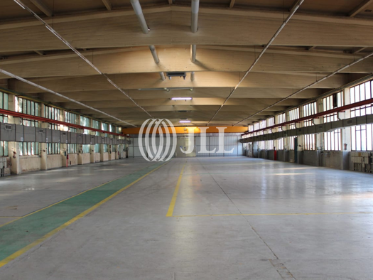 Lagerhalle zur Miete 9.080,5 m² Lagerfläche Watenstedt Salzgitter 38239