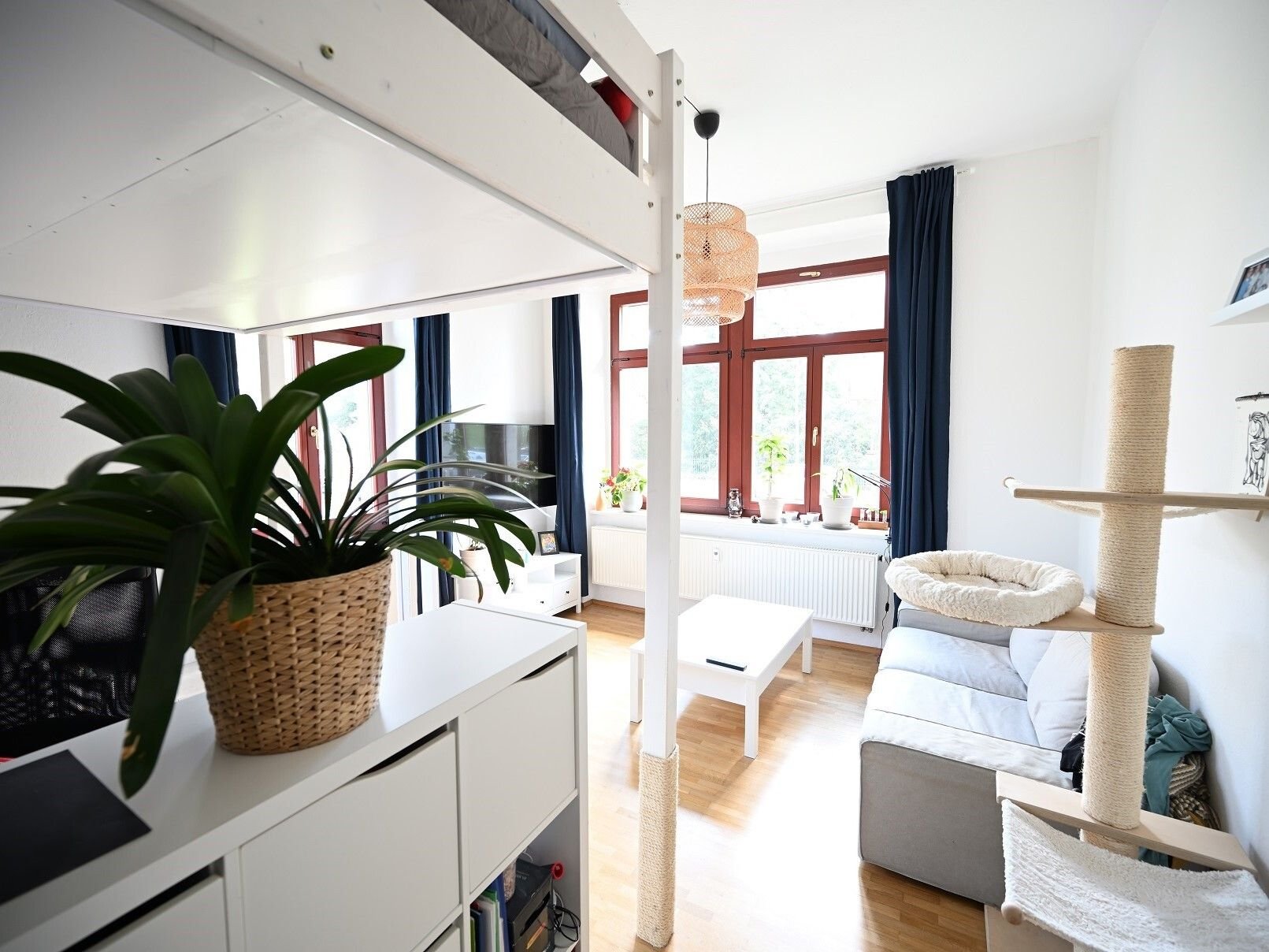 Wohnung zum Kauf 167.000 € 2 Zimmer 63,2 m²<br/>Wohnfläche EG<br/>Geschoss Striesen-Ost (Voglerstr.) Dresden 01277