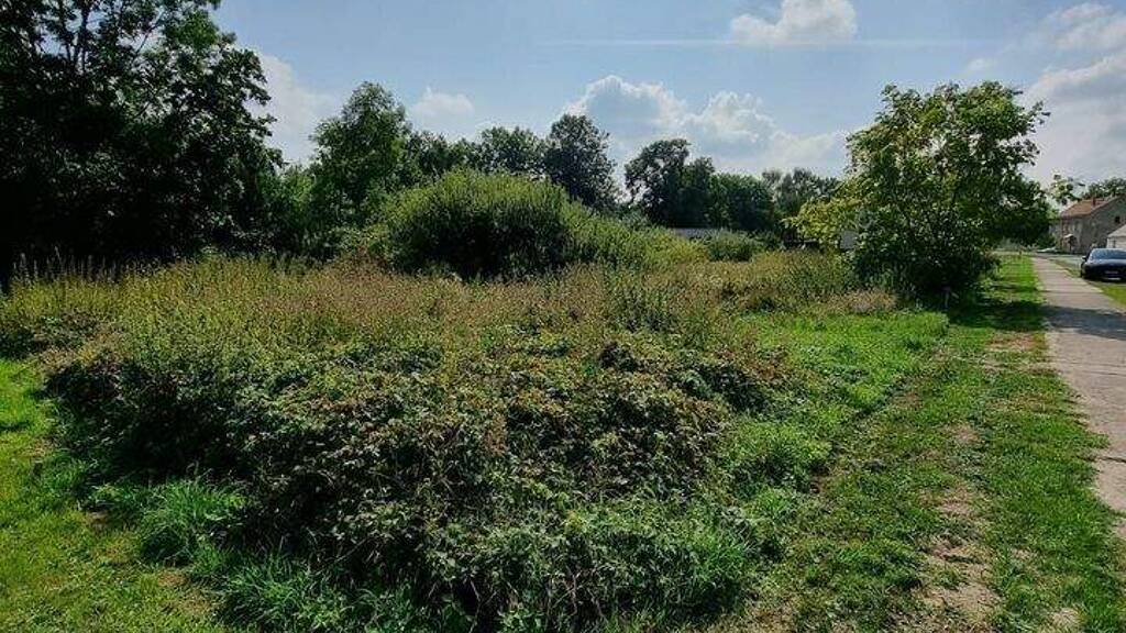 Grundstück zum Kauf provisionsfrei 34.000 € 726 m² Grundstück Alt Tucheband 15328