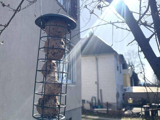 Einfamilienhaus zum Kauf 899.000 € 230,8 m² 851 m² Grundstück Eberstadt Darmstadt 64297