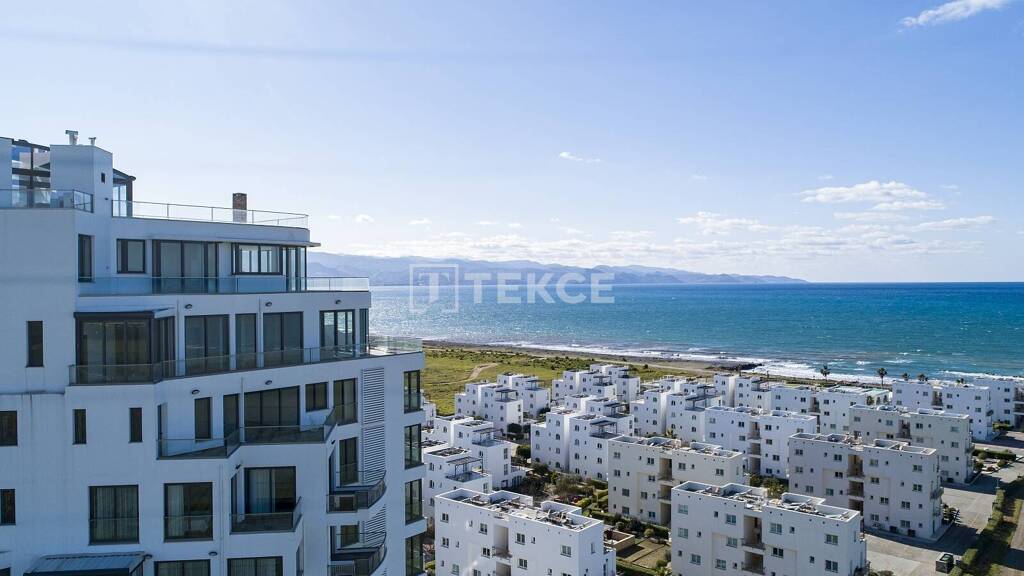 Wohnung zum Kauf 414.000 € 4 Zimmer 164 m² 11. Geschoss Lefke 99790