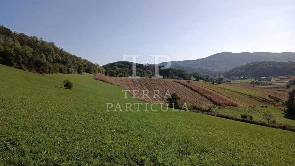 Land-/Forstwirtschaft zum Kauf 180.000 € Tuhelj Tuhelj