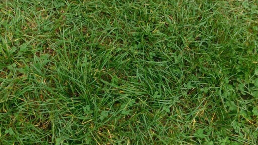 Grundstück zum Kauf 300.000 € 50.288 m² Grundstück Fonyód