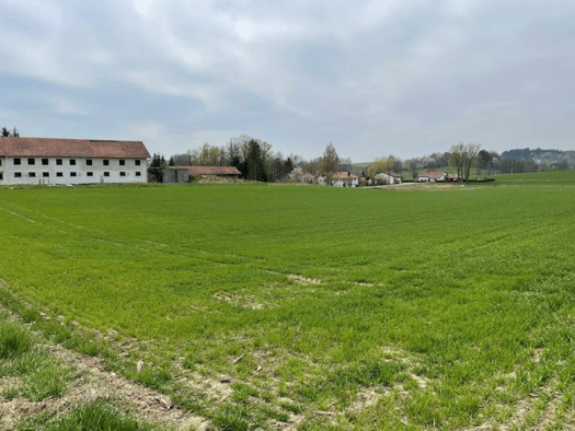Land-/Forstwirtschaft zum Kauf provisionsfrei 158.432 m² Grundstück Niedergeislbach Lengdorf 84435
