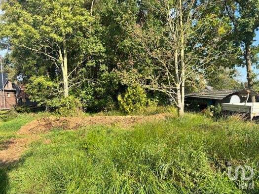 Land-/Forstwirtschaft zum Kauf 37.500 € 1.100 m² Grundstück Rhaudermoor Rhauderfehn 26817