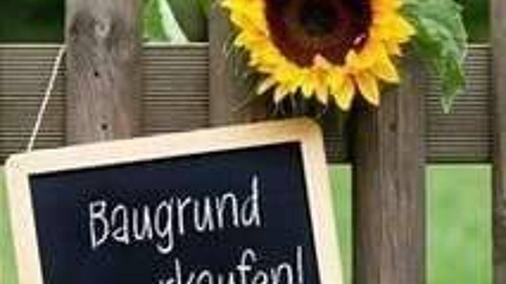 Grundstück zum Kauf 398.000 € 573 m² Grundstück Waldsee 67165