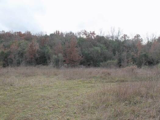 Grundstück zum Kauf 590.000 € 13.000 m² Grundstück Kreis Bar 85000