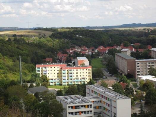 Wohnung zur Miete 240 € 1 Zimmer 27,1 m² 3. Geschoss frei ab sofort Weinbergsweg 9 Thale Thale 06502