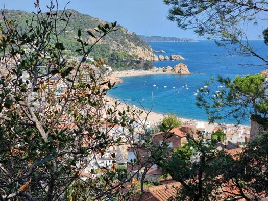 Acker-/Waldstück zum Kauf 575.000 € Tossa de Mar 17320