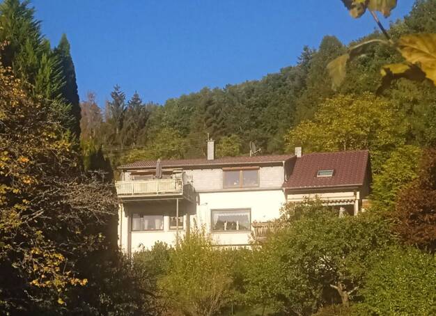 Mehrfamilienhaus zum Kauf provisionsfrei 320.000 € 8 Zimmer 340 m² 2.600 m² Grundstück Tiefenstein Idar-Oberstein 55743