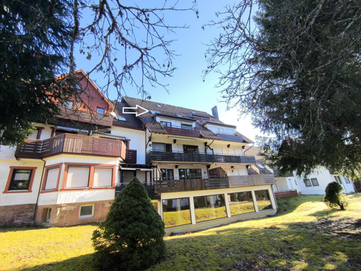 Wohnung zum Kauf 89.000 € 2 Zimmer 48,7 m² 4. Geschoss Kniebis Freudenstadt 72250