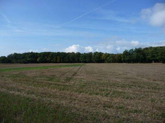 Land-/Forstwirtschaft zum Kauf 107.642 m² Grundstück Bieste Rieste 49597