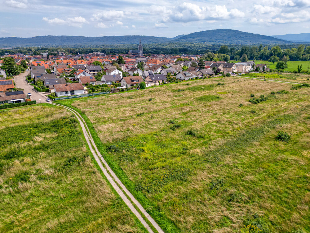 Grundstück zum Kauf 241.000 € 412 m²<br/>Grundstück Muggensturm 76461