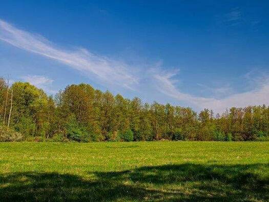 Einfamilienhaus zum Kauf provisionsfrei 589.480 € 5 Zimmer 139 m² 530 m² Grundstück frei ab 01.03.2027 Kreyenbrück Oldenburg 26133