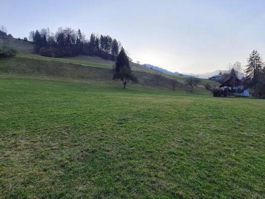 Grundstück zum Kauf 149.000 € 1.192 m² Grundstück Großraming 4463