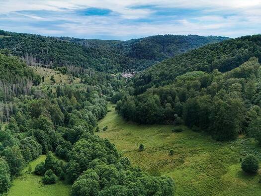 Land-/Forstwirtschaft zum Kauf 3.900 € 7.500 m² Grundstück Walkenried 37447