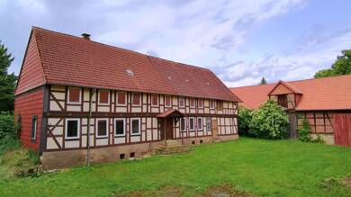 Land-/Forstwirtschaft zum Kauf 239.000 € 4.290 m² Grundstück Upen Liebenburg 38704