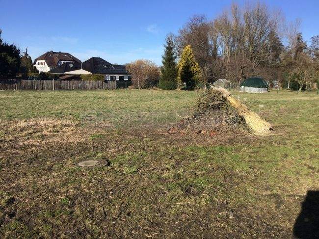 Immobilie in Borna - Doppelhaushälfte mit Scheune und 2 Garagen - Bild 3