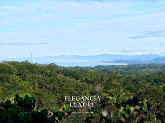 Bauernhof zum Kauf 1.682.848 € 7.147 m² Grundstück Cóbano