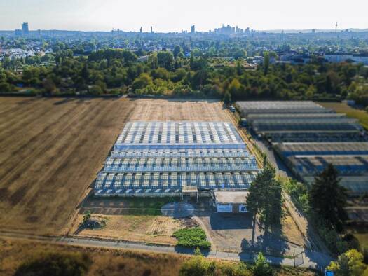 Land-/Forstwirtschaft zum Kauf 350.000 € 12.491 m² Grundstück Rumpenheim Offenbach am Main 63075