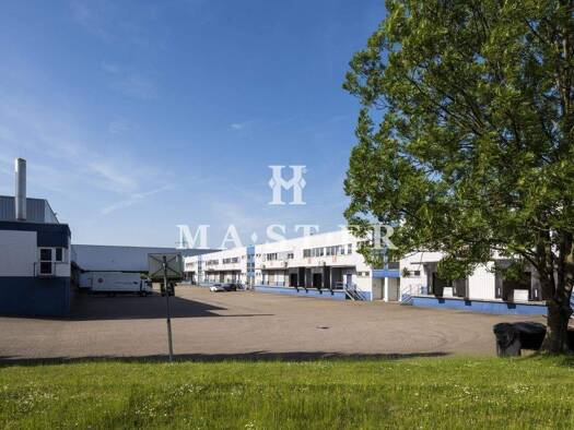 Bürofläche zur Miete provisionsfrei 8 € 122 m² Bürofläche teilbar ab 122 m² Tiefenbroich Ratingen 40880