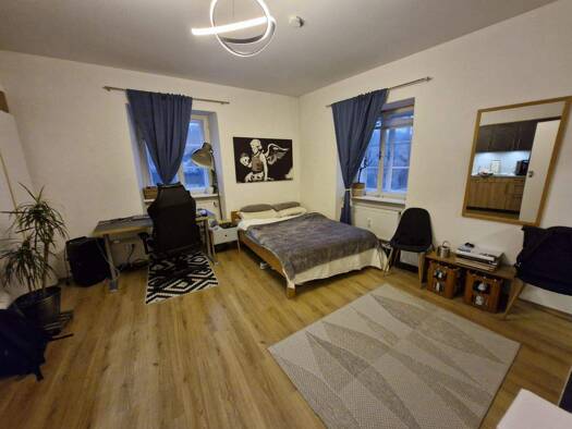 Wohnung zur Miete 340 € 1 Zimmer 32 m² frei ab 01.03.2026 Altstadt Passau 94032