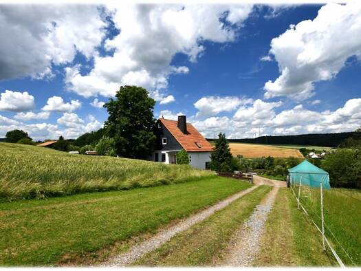Einfamilienhaus zum Kauf 318.000 € 5 Zimmer 160 m² 21.000 m² Grundstück Twiste Twistetal 34477