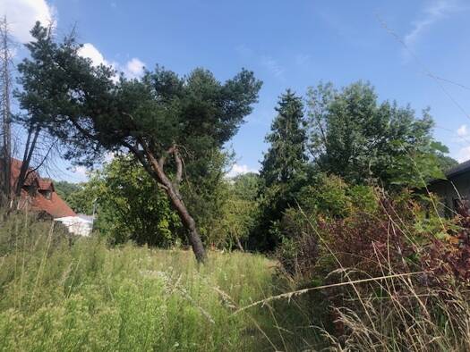 Grundstück zum Kauf 379.000 € 780 m² Grundstück Tegernbach Tegernbach Pfaffenhofen an der Ilm 85276