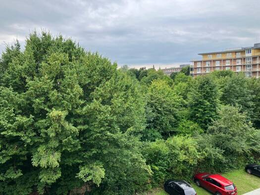 Wohnung zum Kauf als Kapitalanlage geeignet 150.000 € 2 Zimmer 49 m² Kernstadt Paderborn 33100
