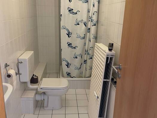 Wohnung zur Miete 475 € 1 Zimmer 35 m² Geschoss 1/2 frei ab sofort Ostheim Nidderau 61130