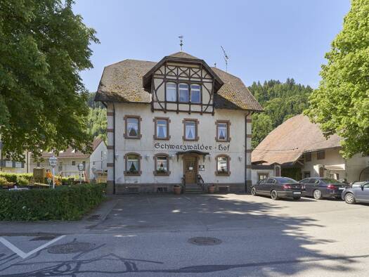 Grundstück zum Kauf 1.190.000 € 2.616 m² Grundstück Bleibach Gutach im Breisgau 79261