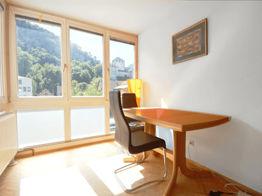 Wohnung zur Miete 790 € 1 Zimmer 35 m² 2. Geschoss frei ab 01.11.2026 Saalbaugasse 4 Feldkirch 6800