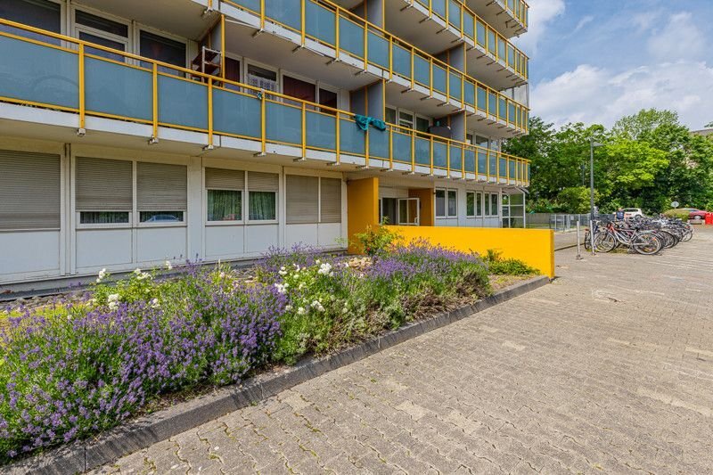 Wohnung zur Miete 720 € 2 Zimmer 65,5 m²<br/>Wohnfläche 2.<br/>Geschoss 29.01.2025<br/>Verfügbarkeit Am Taubertsberg 4 Hartenberg / Münchfeld Mainz 55122