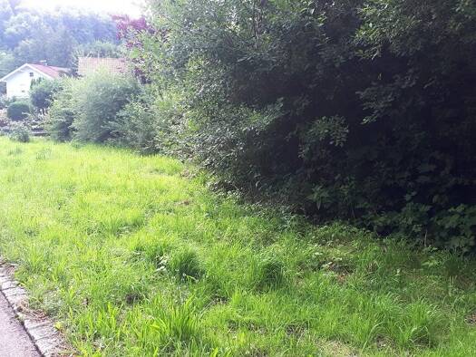 Grundstück zum Kauf 150.000 € 505 m² Grundstück St Georgen Sankt Georgen 83368