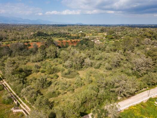 Grundstück zum Kauf 215.000 € 19.033 m² Grundstück Algaida 07210