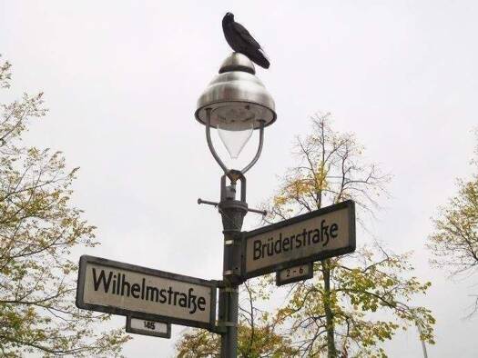 Studio zur Miete 454 € 1 Zimmer 35,5 m² 1. Geschoss frei ab sofort Spandau Berlin 13595