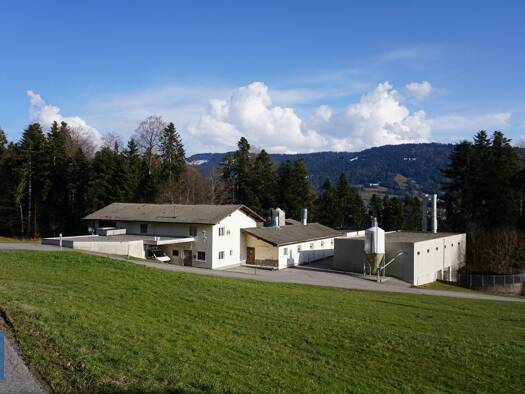 Produktionshalle zum Kauf 1.232 € 1.380 m² Lagerfläche Similisgschwend 212B Sulzberg 6934
