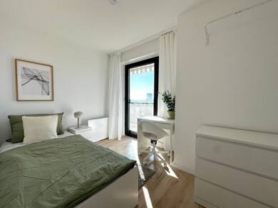 Wohnung zur Miete 460 € 1 Zimmer 33 m² 9. Geschoss frei ab sofort Rheinvorlandstraße 10 Mühlau Mannheim 68159
