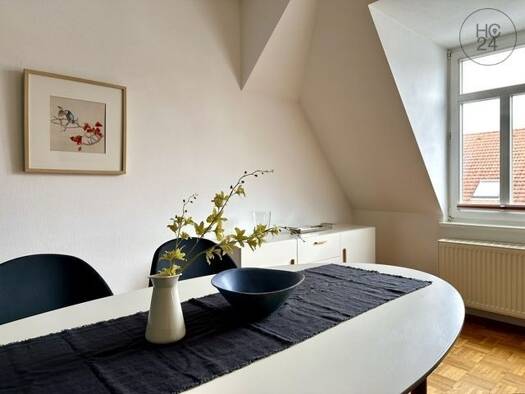 Wohnung zur Miete Wohnen auf Zeit 990 € 2 Zimmer 51 m² frei ab sofort Schleußig Leipzig 04229