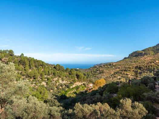 Villa zum Kauf 3.000.000 € 7 Zimmer 305 m² 185.220 m² Grundstück Deià 07179